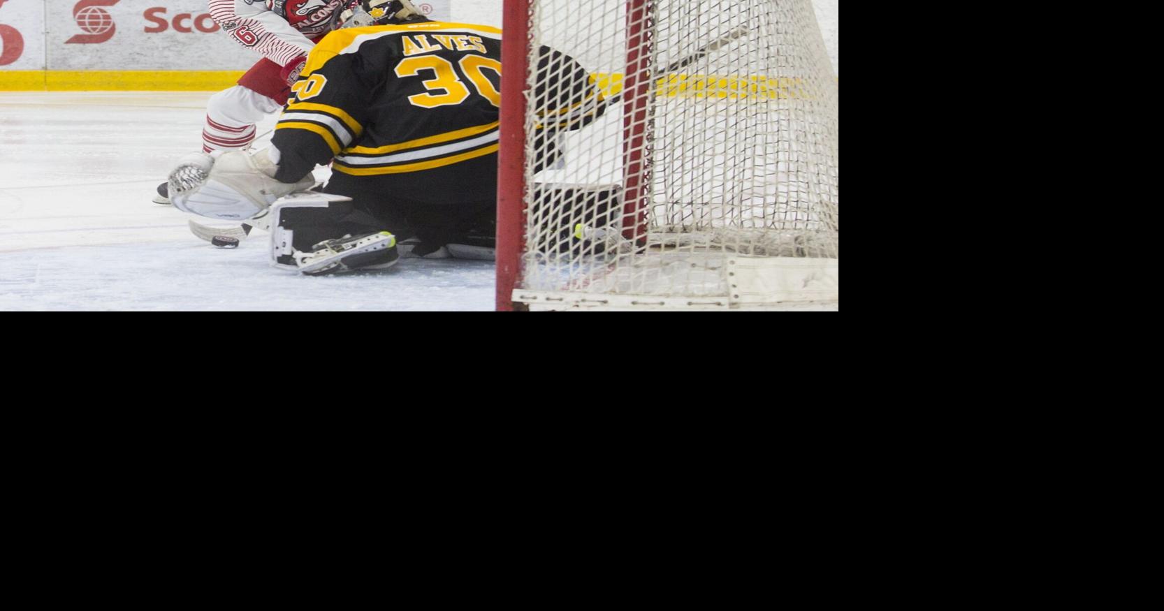 Junior-B hockey first-round playoff roundup