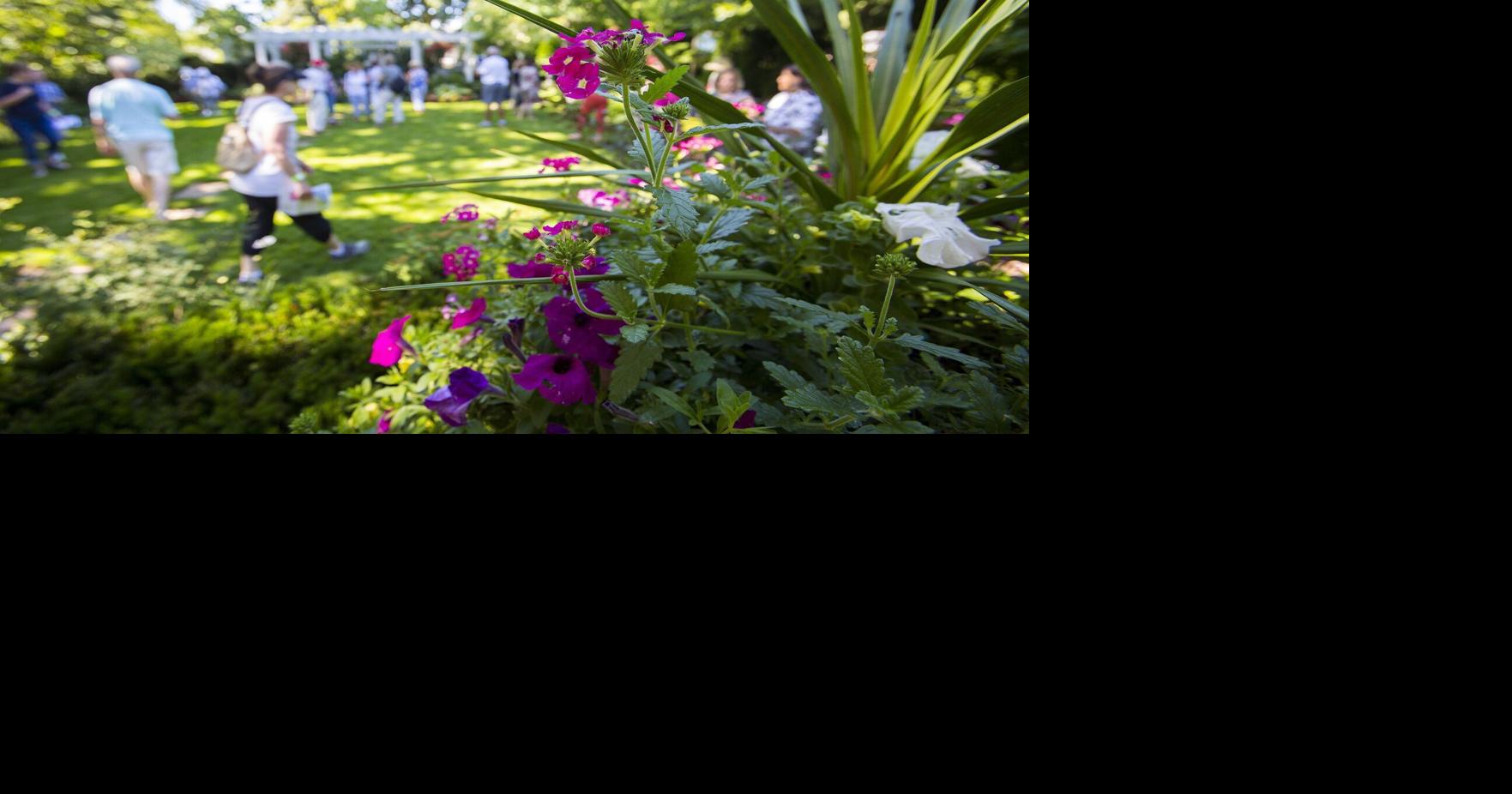 Garden, rides and fresh finds fill Niagara’s July weekend