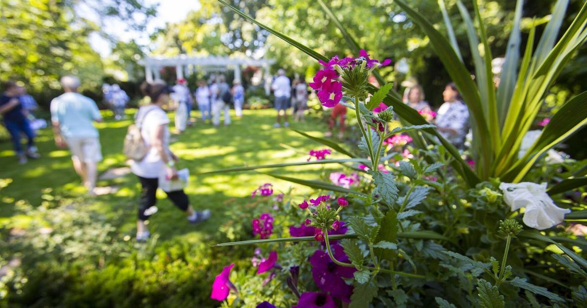 Garden, rides and fresh finds fill Niagara’s July weekend