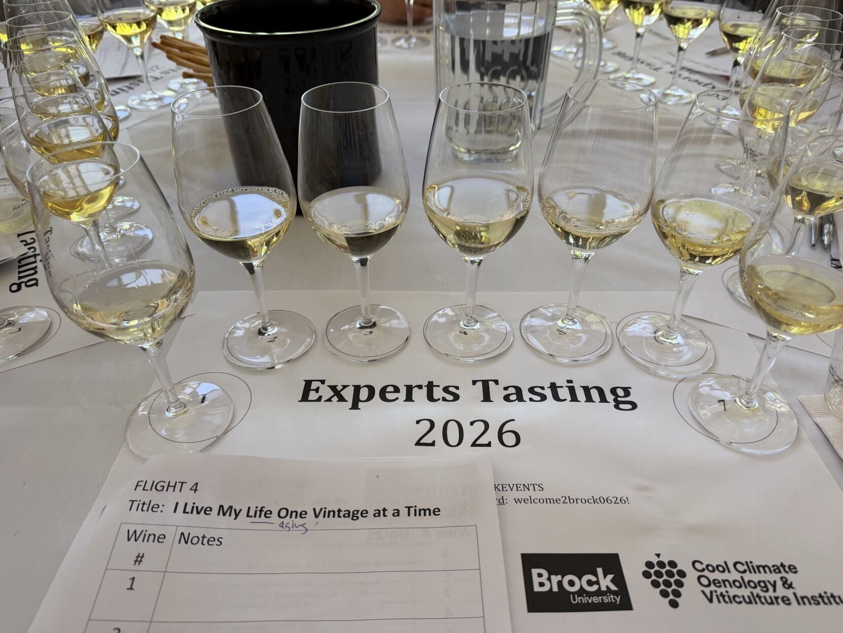 Brock University leading the charge for Ontario wine education  and the industry is noticing