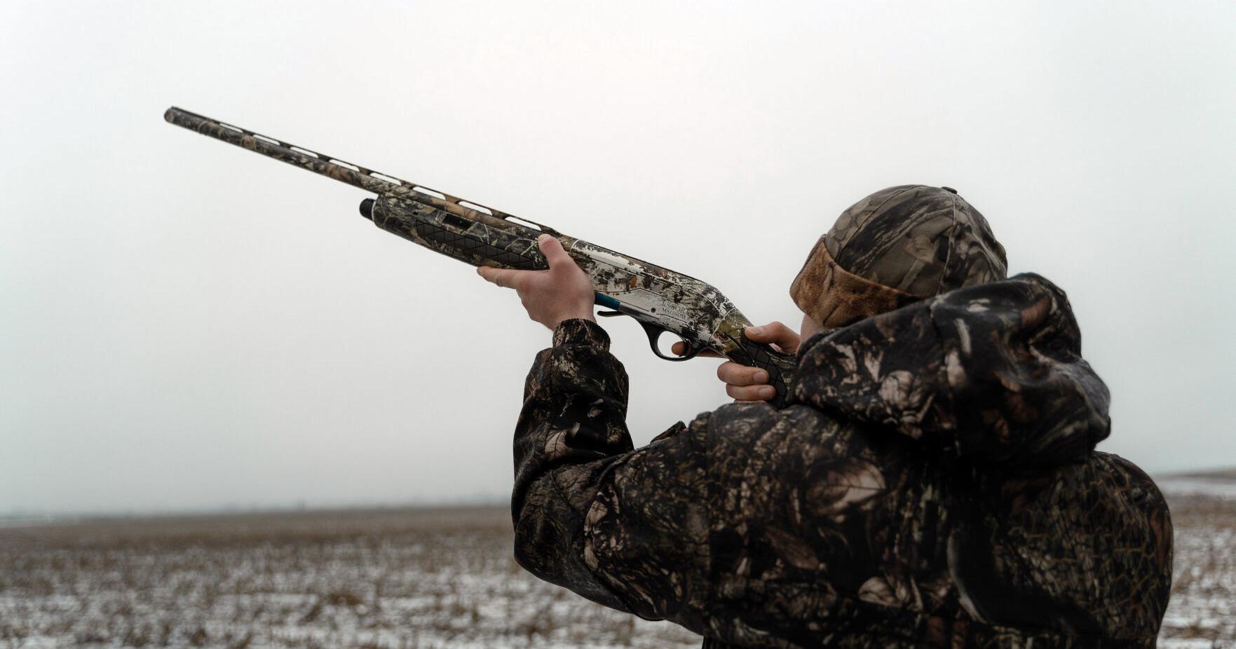 Haldimand seeks input on Sunday gun hunting - Vimarsana News