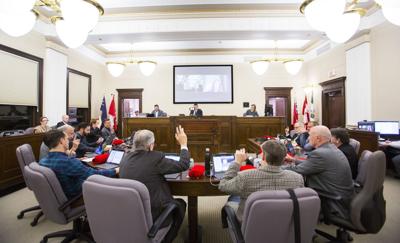 Counci inaugural meeting, committee code of conduct