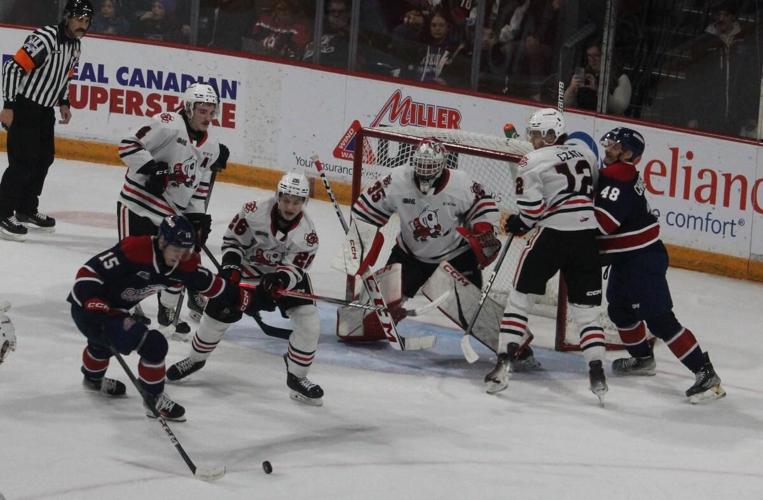 IceDogs collect toys in Teddy Bear Toss Game