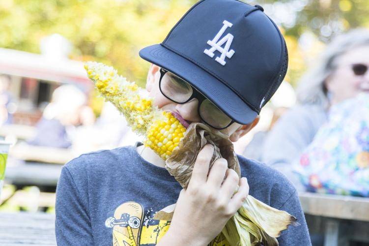 Ball’s Falls now a heritage property