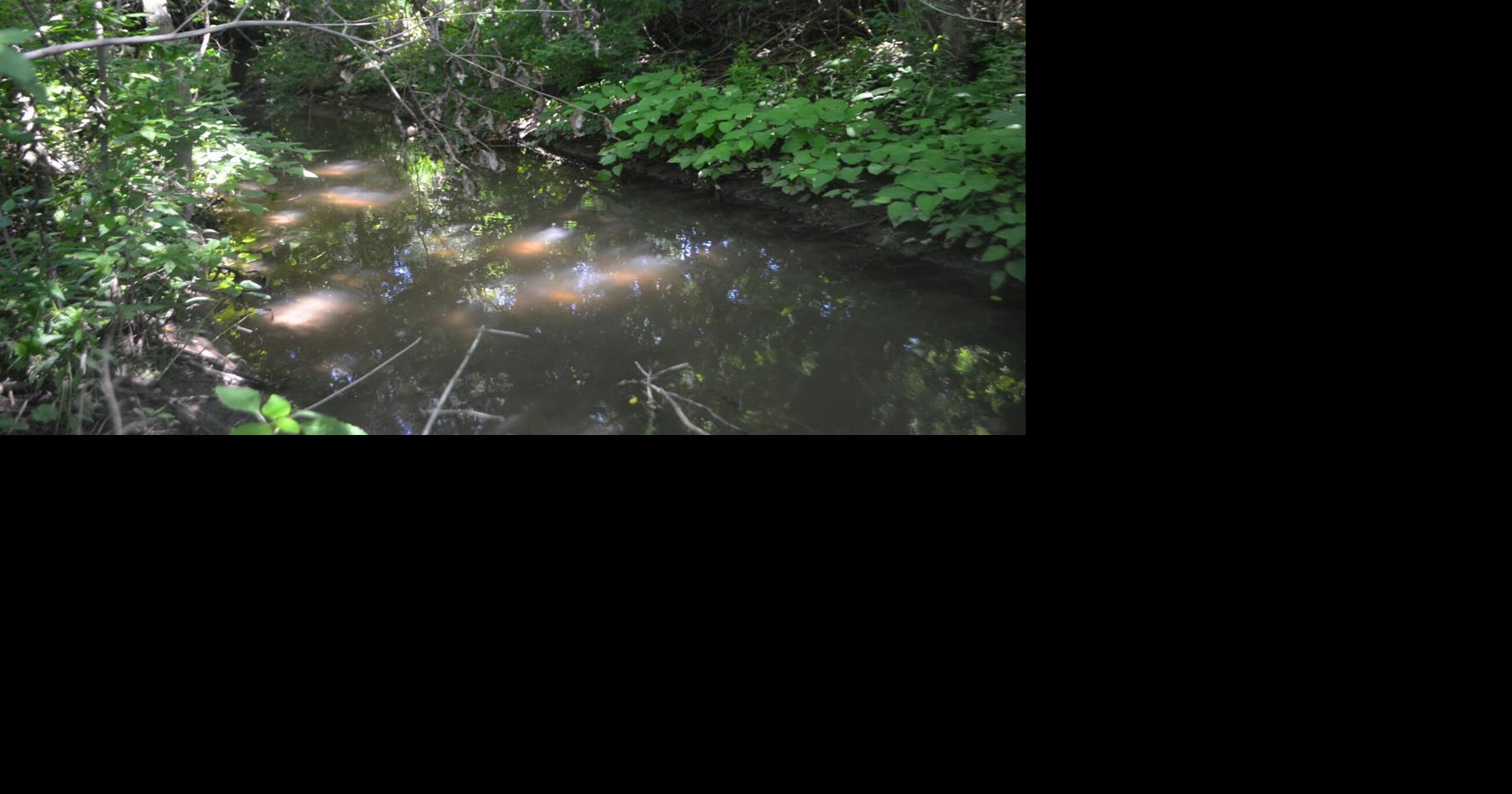 NPCA, Niagara-on-the-Lake partner to update Four Mile Creek floodplain map
