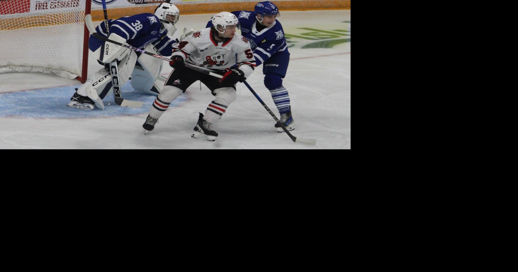 IceDogs open season 40 for first time since 2018