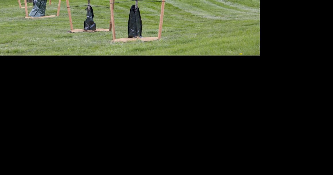 St. Catharines looks for ways to grow tree canopy