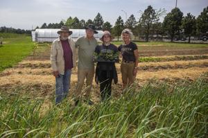 'Adopt a Row' campaign supports expansion of Start Me Up Niagara community garden