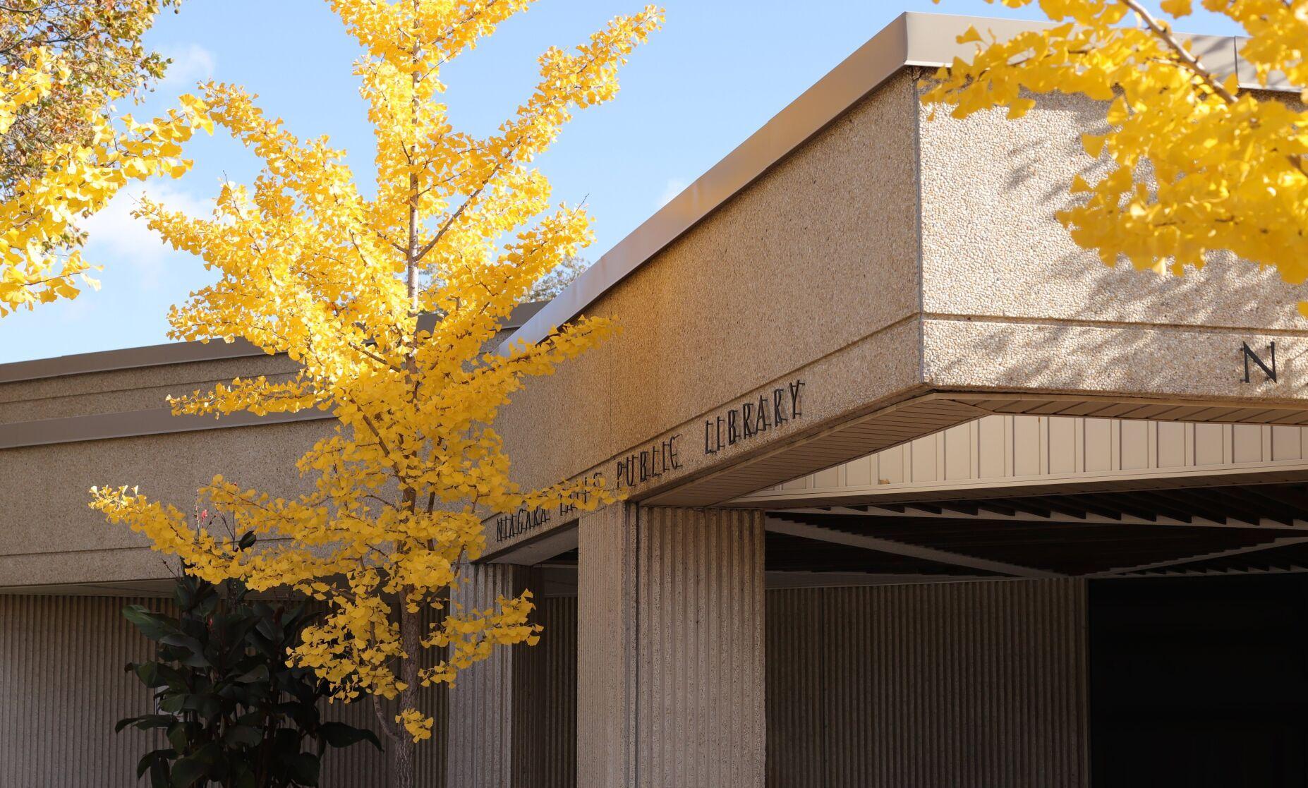 Murder mystery part of Niagara Falls library celebration
