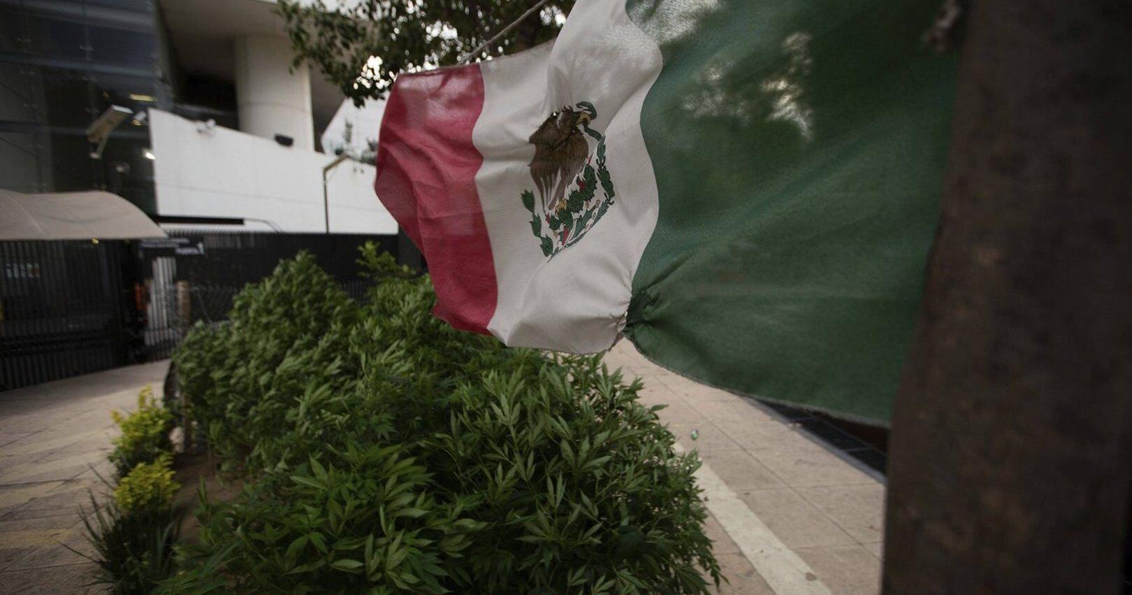 10  taken  from B . C . firm Mexican mine site , but Global Affairs says no Canadians