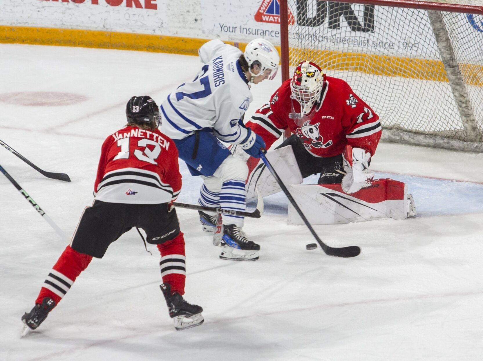 Niagara IceDogs Open Preseason At Home Saturday Versus Flint niagara-icedogs-open-preseason-at-home-saturday-versus-flint