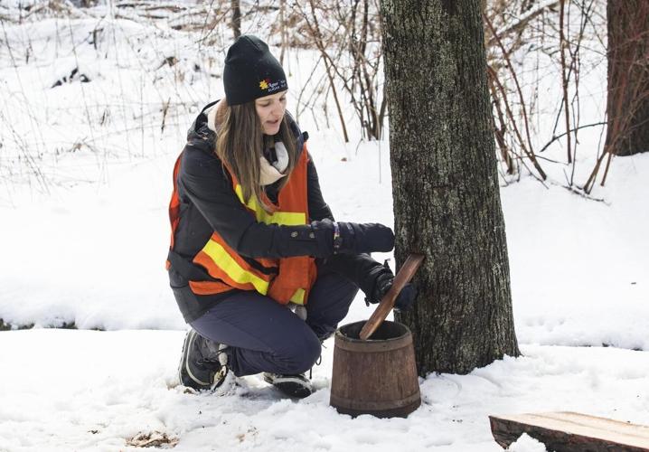 Tapping sweet success at Pelham maplesyrup operation