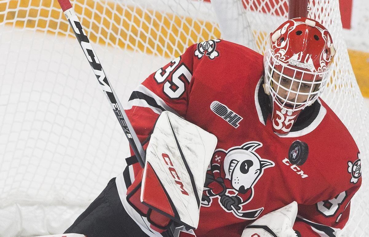 IceDogs add locals late in draft