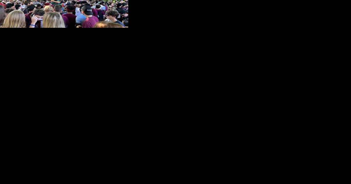 Fake McMaster homecoming draws thousands - Vimarsana News