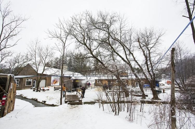 Tapping sweet success at Pelham maplesyrup operation