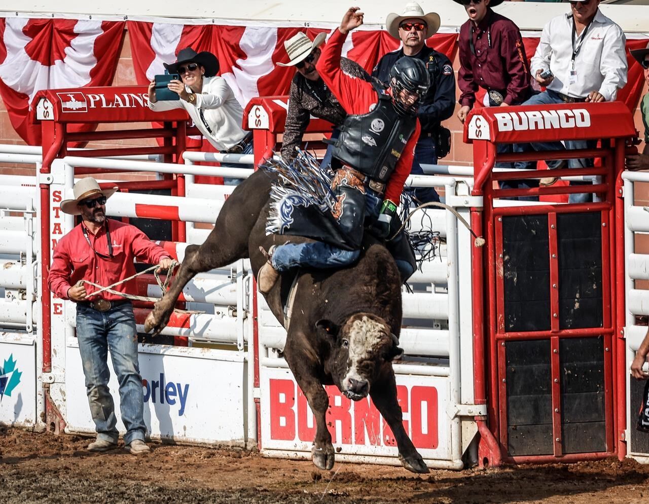 Four Canadians prevail in Calgary Stampede rodeo finals