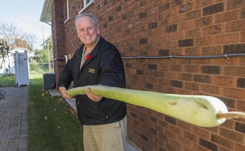 Thorold attempt at record zucchini draws late night laughs