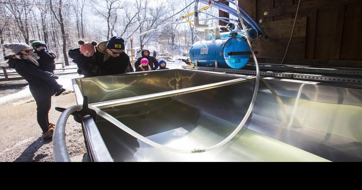 Tapping sweet success at Pelham maplesyrup operation
