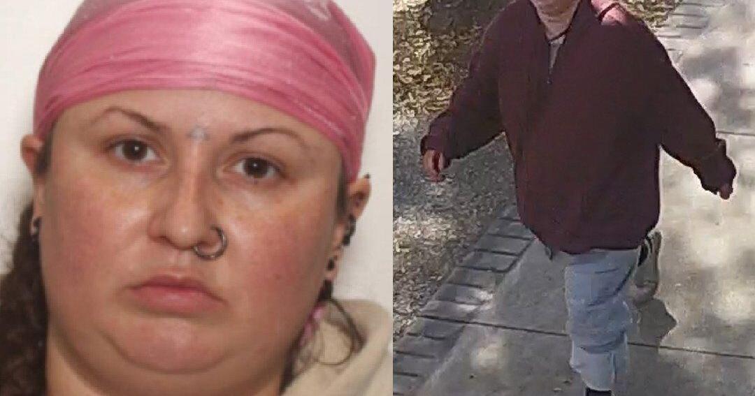 Woman accused of three murders appears in Niagara court