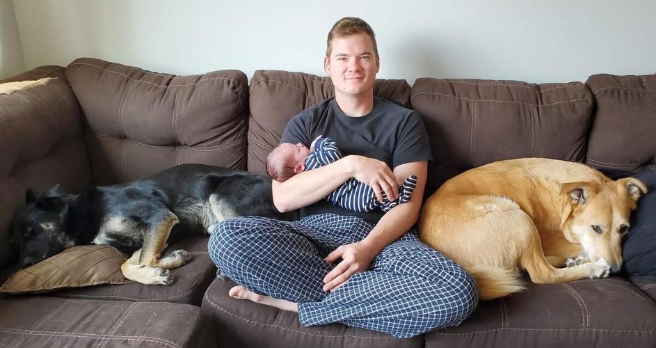 Family calls dogs’ WestJet experience ‘heartbreaking’