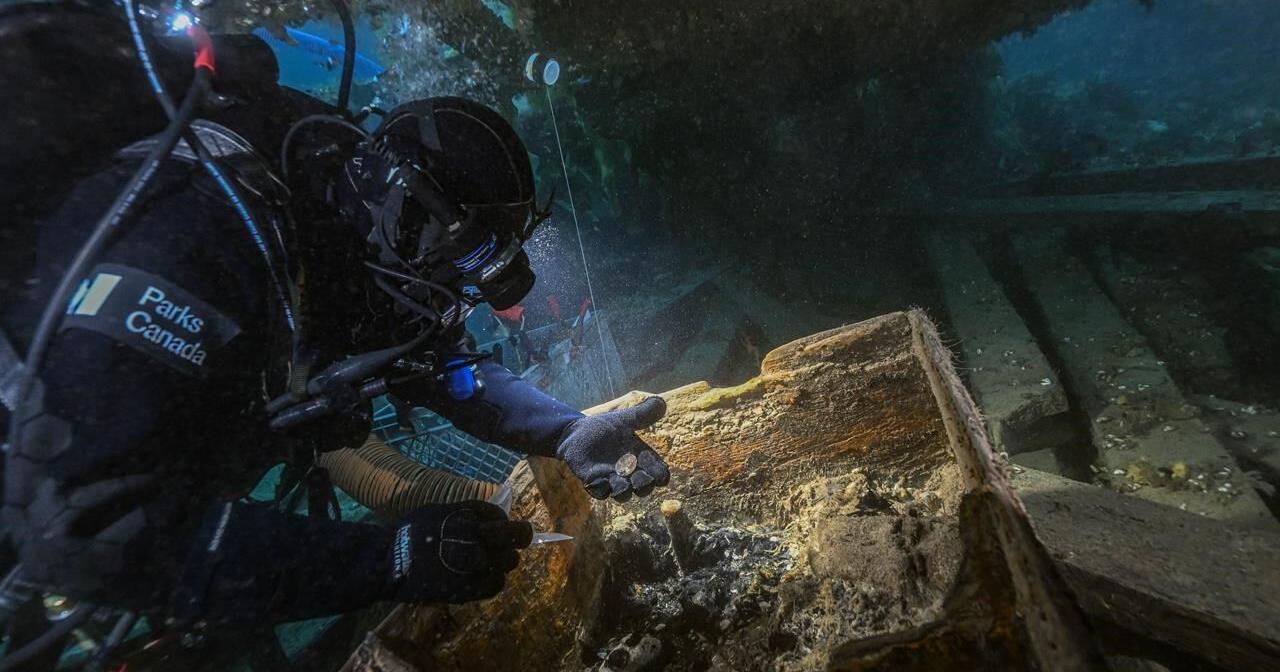 'Keen connection': Franklin expedition divers say 2023 season highly productive - Vimarsana News
