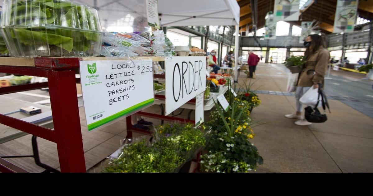 Wanted More farmers to grow St. Catharines market