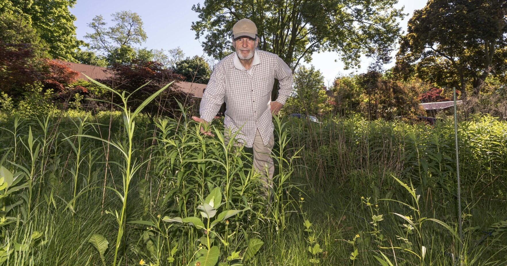 A fight against Mississauga's lawn laws could mean much more - Vimarsana News