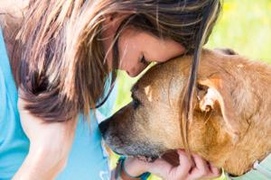 Studying violence toward women and animals can help us develop strategies to prevent both