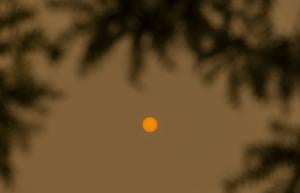 Wildfire smoke, heat put Niagara’s most vulnerable residents at risk