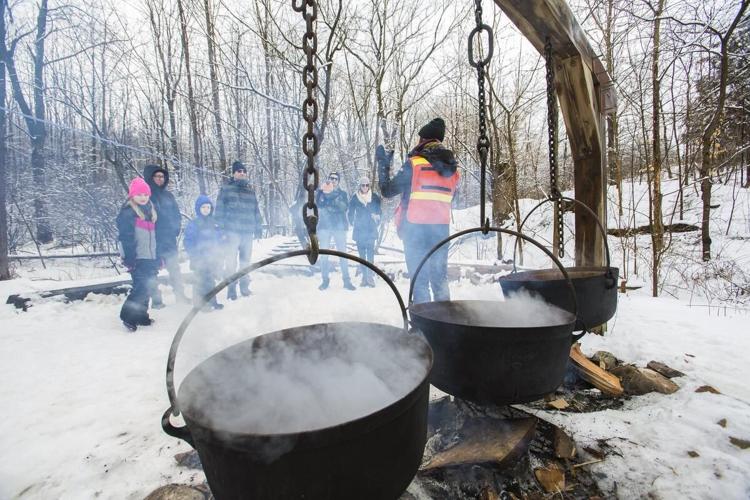 Tapping sweet success at Pelham maplesyrup operation