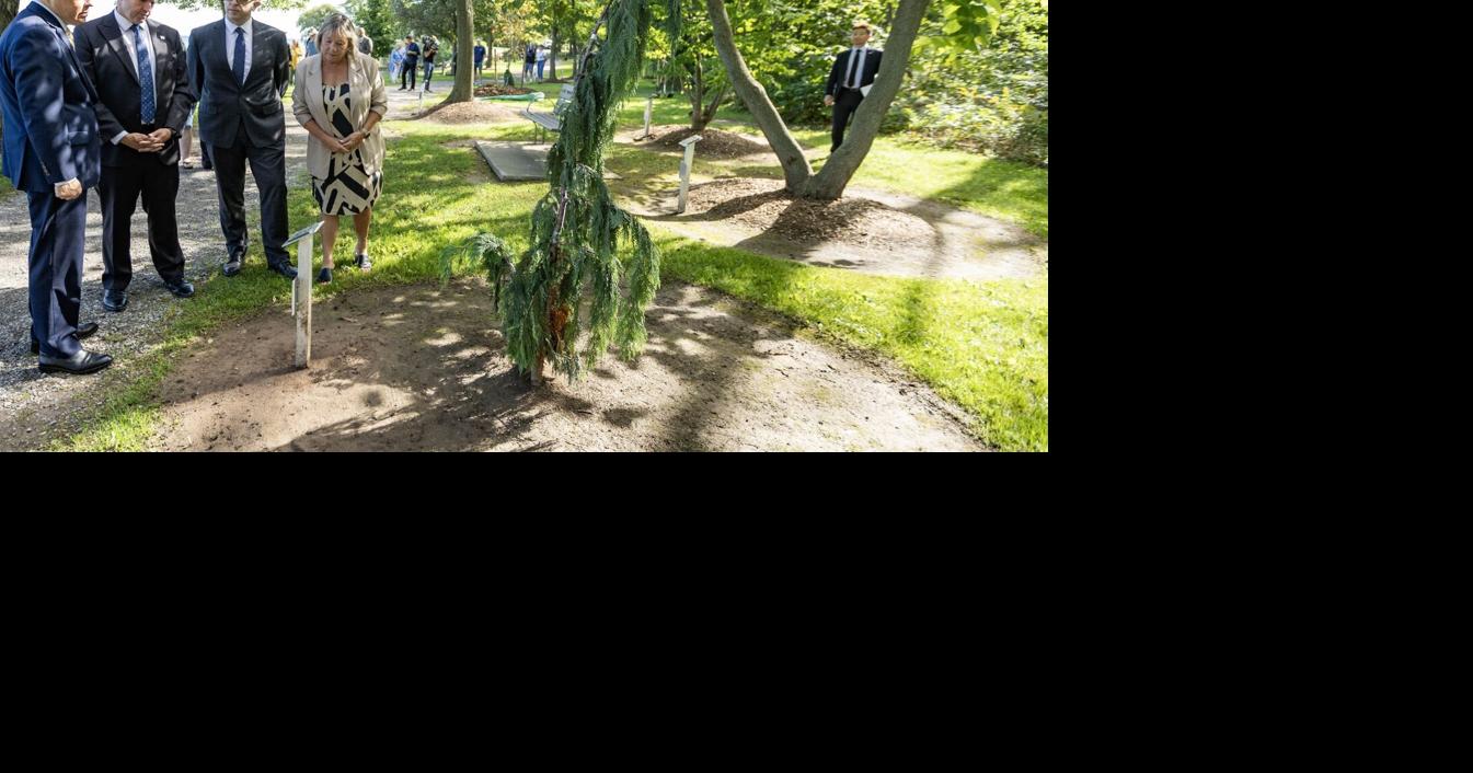 The top headlines in St. Catharines this week