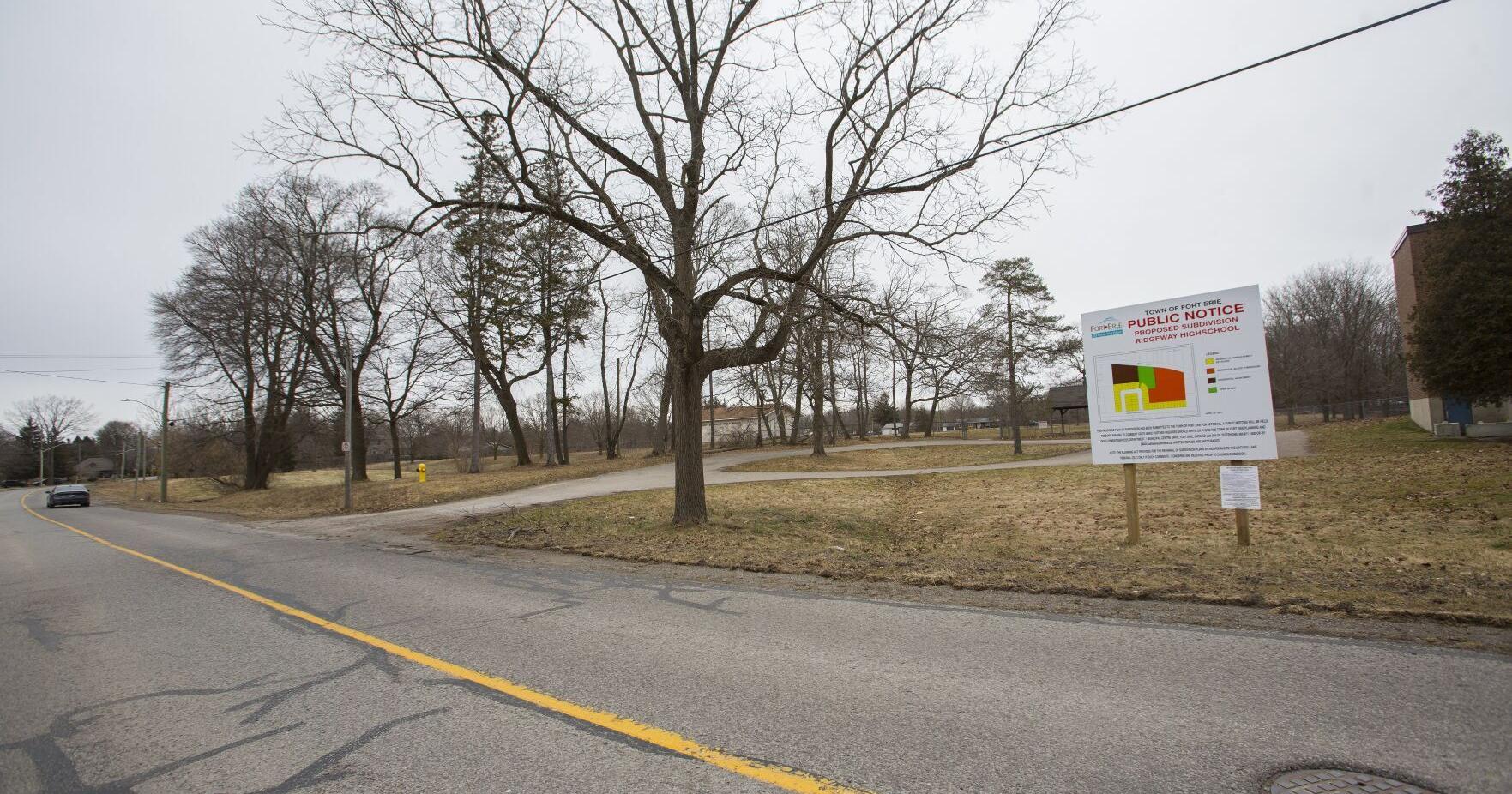 Ridgeway tree culling halted to protect rare woodpecker - Vimarsana News