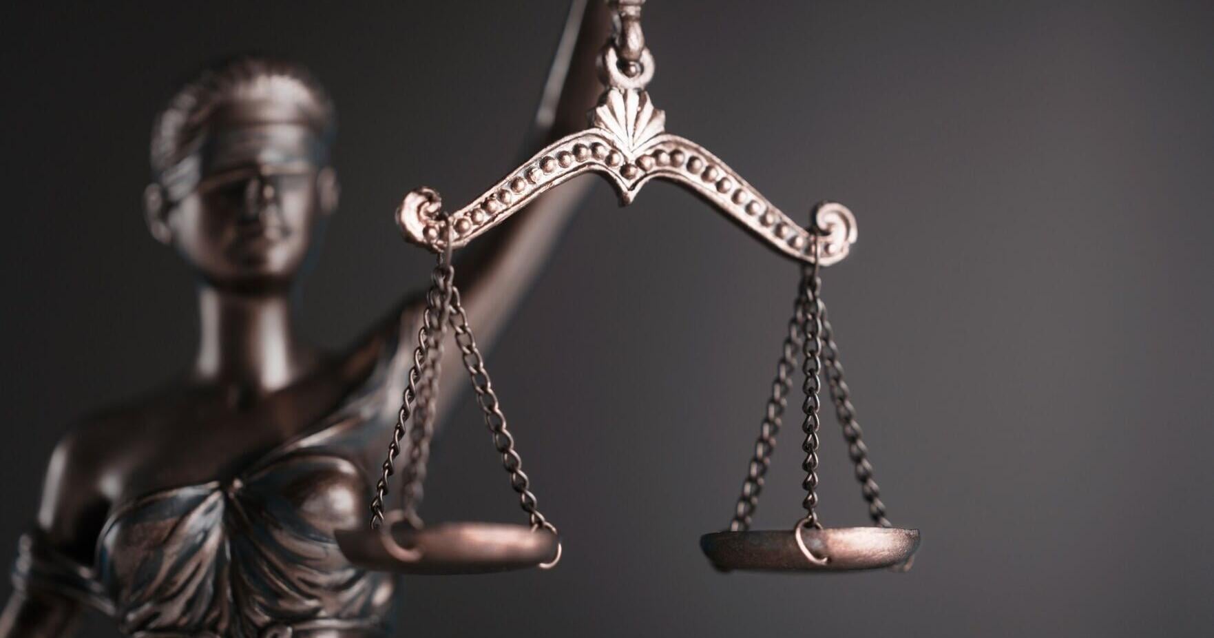 Ontario man admits to mutilating puppies . Three left maimed