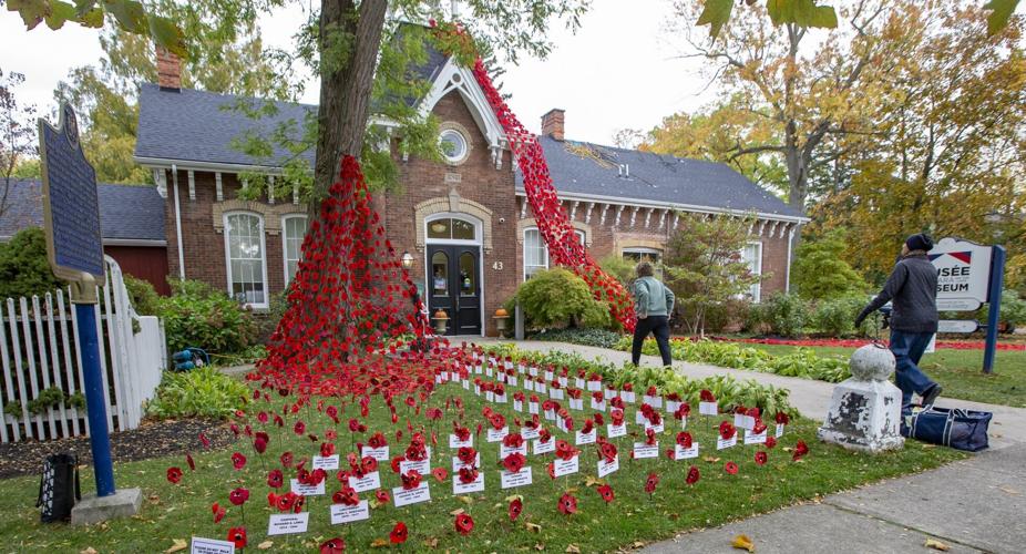 St Catharines Standard top stories of the week St Catharines Standard top stories of the week