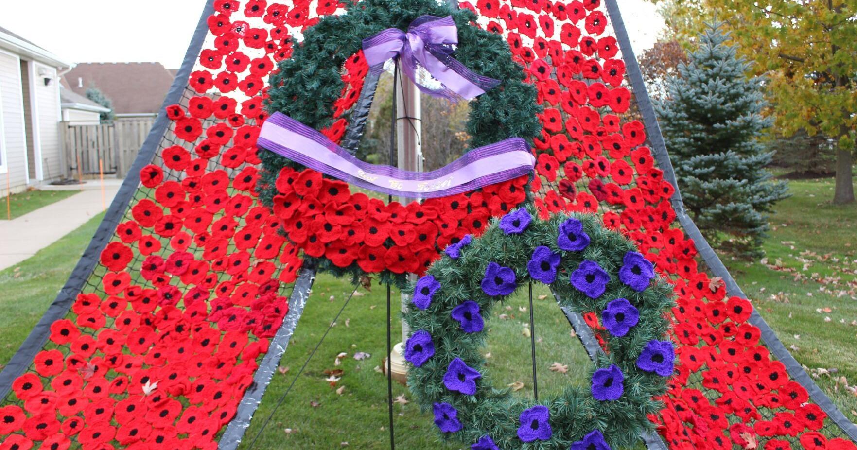 Ridgeway residents pay tribute to veterans with poppy banner - Vimarsana News