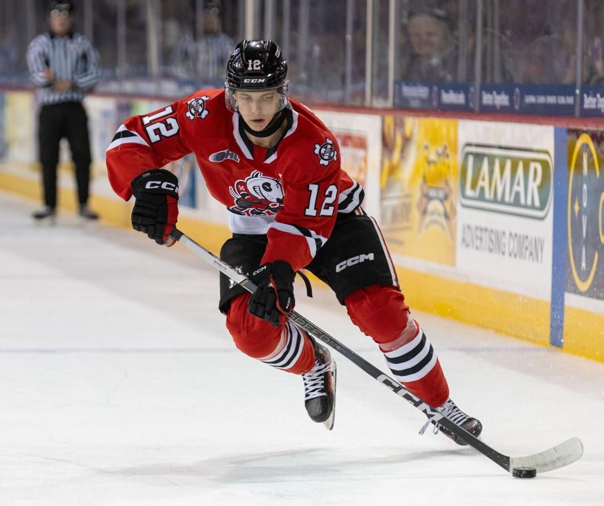 Niagara IceDogs end two-game losing streak