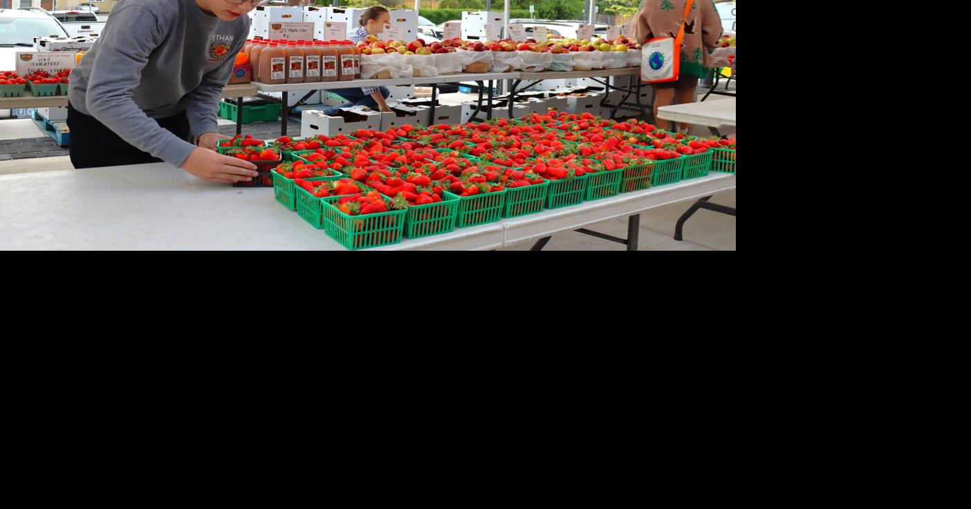 A VW car show, Jazz Crawl, food fest and strawberry picking are on Niagara’s weekend list of things to do