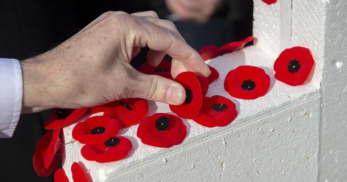 Why Remembrance Day isn't a stat holiday in Ontario - Vimarsana News