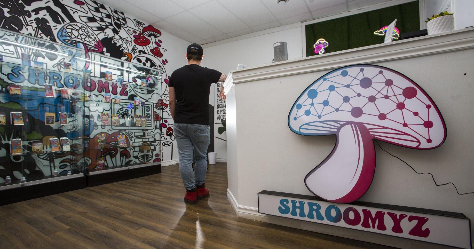 Busts aren't stopping Niagara's shroom boom - Vimarsana News