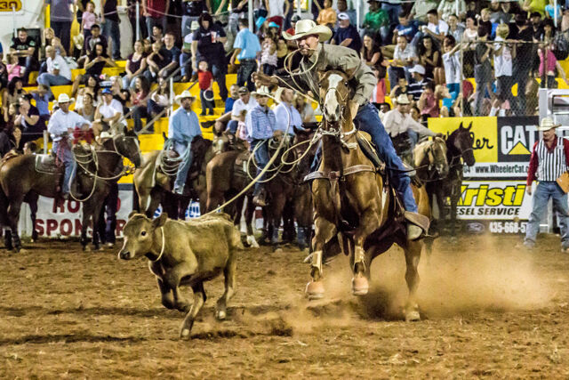 STGnews Photo Gallery: 78th Annual Dixie Round-up Rodeo | News ...