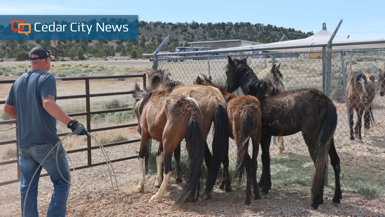 Read moreIron County deputies arrest suspect in horse neglect case
