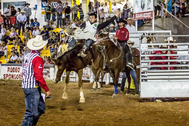 STGnews Photo Gallery: 78th Annual Dixie Round-up Rodeo | News ...