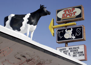 Cow tale shenanigans; Top Spot cow bids final farewell | Local