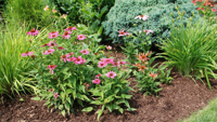 As summer winds down, it's time for Southern Utahns to prepare the landscape for the change of seasons