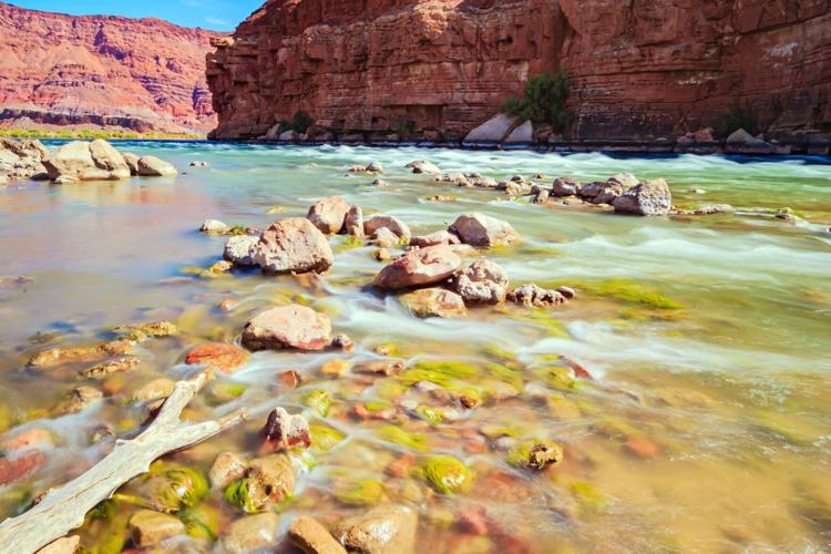 Lottery opens for self-guided river trips in Grand Canyon | News