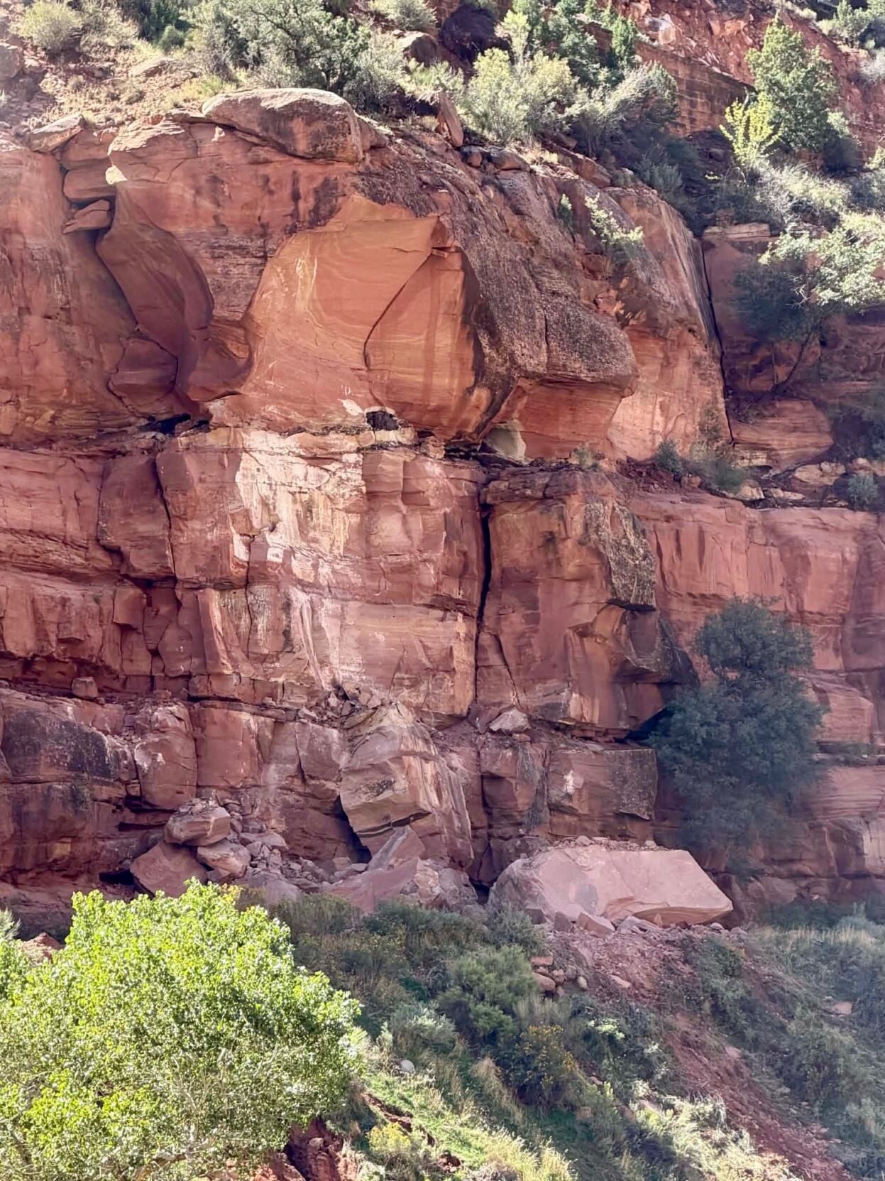 It was a massive fall': Eyewitness recounts rockfall in Zion