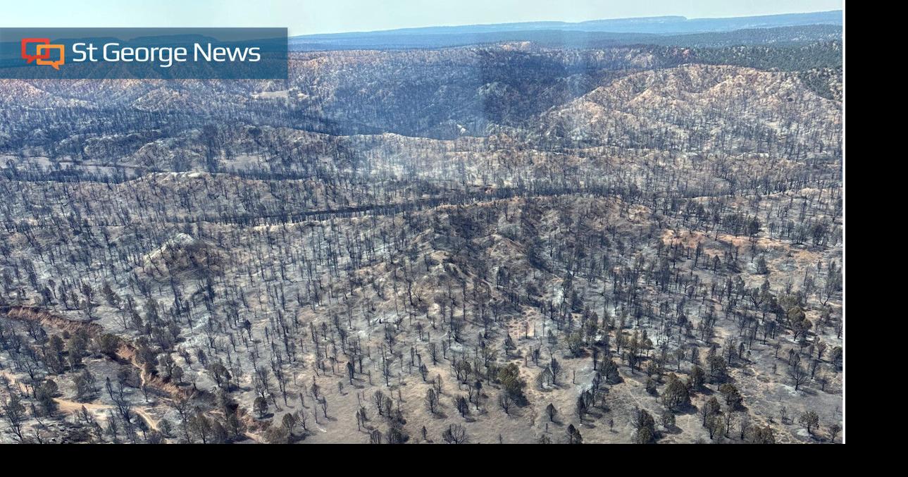 With Deer Springs Fire 100% contained, national monument roads, parking ...