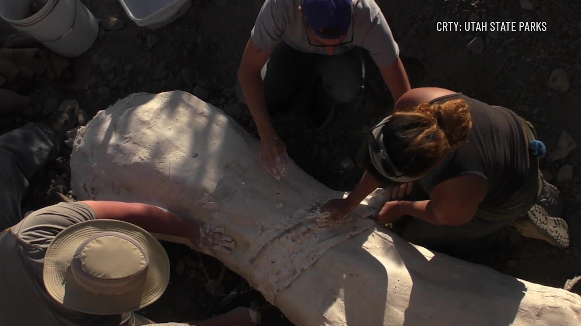 Bone of rare long-necked dinosaur found in Southern Utah desert | Local  News | stgeorgeutah.com, image size:1920x1080