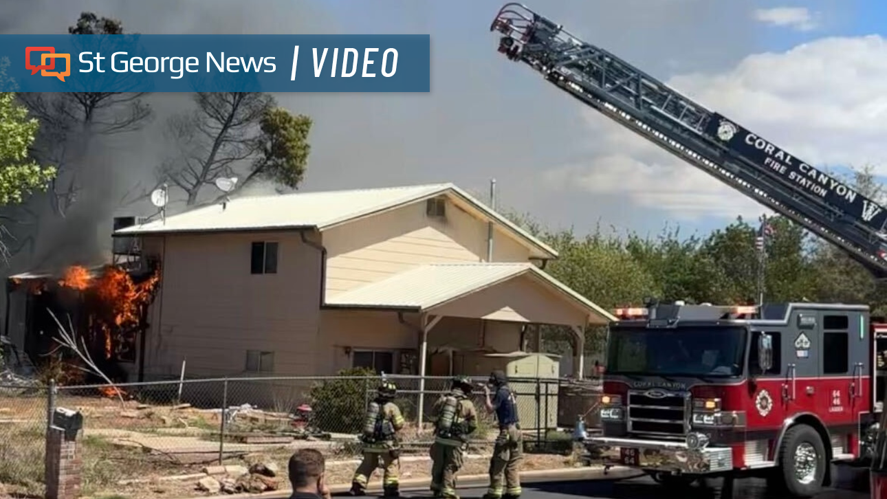 Washington City fire damages multiple structures and kills pet dog
