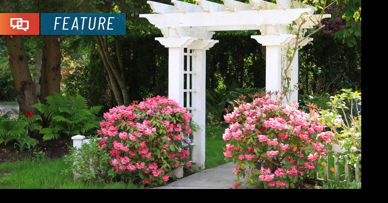 Try these 3 structures to add both form and function to your ...